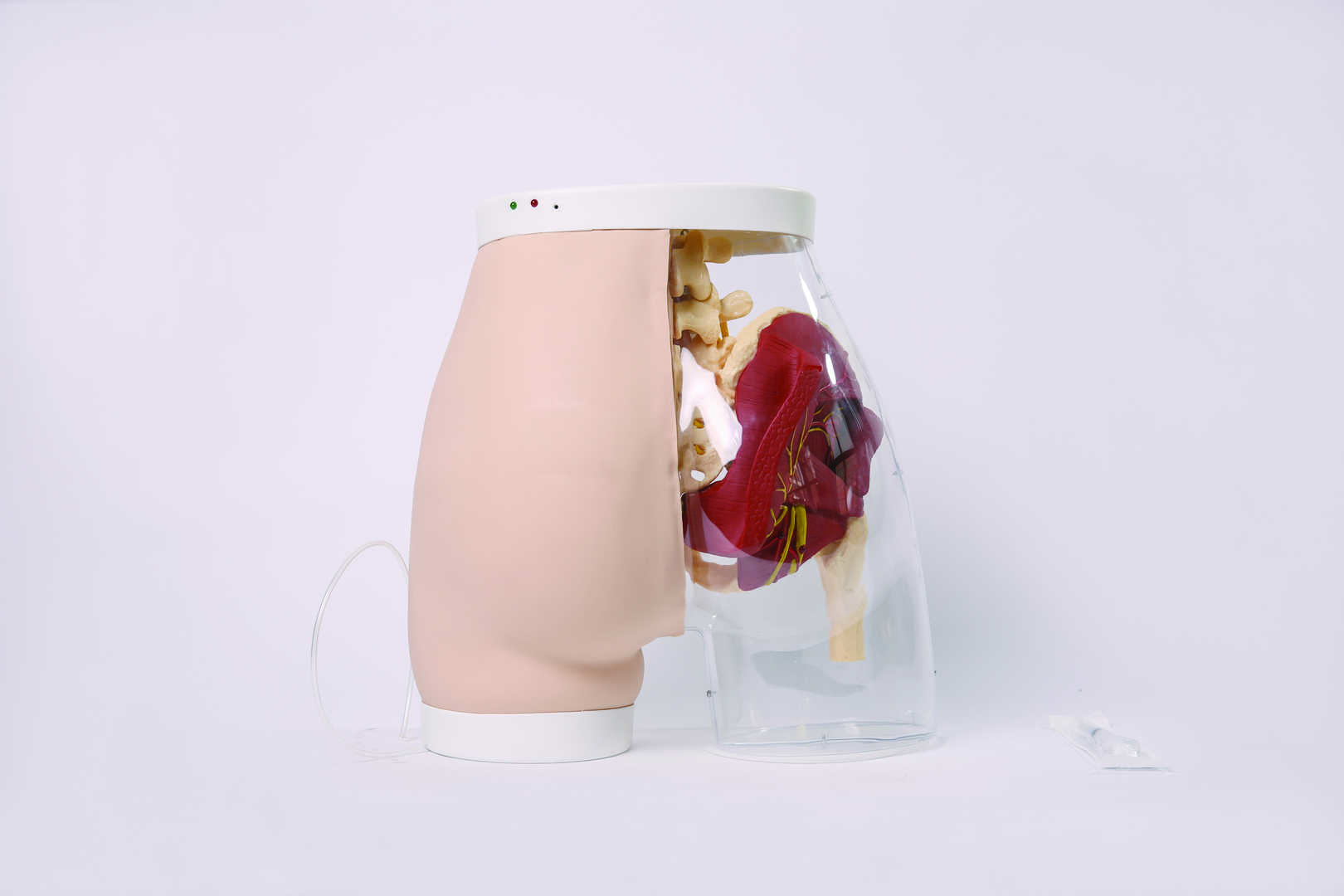 Buttock Mate Intramuscular Injection Model