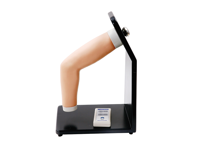 肘关节腔内注射模型