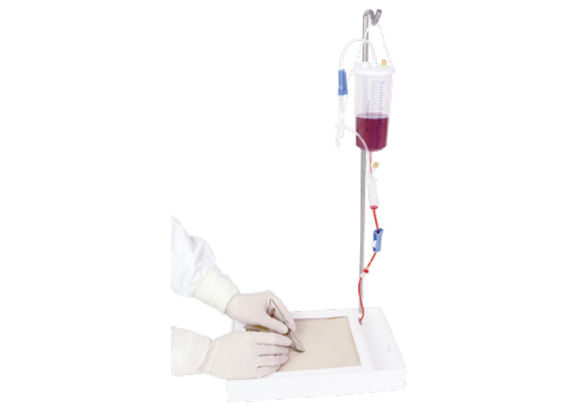 血管分离结扎训练模型