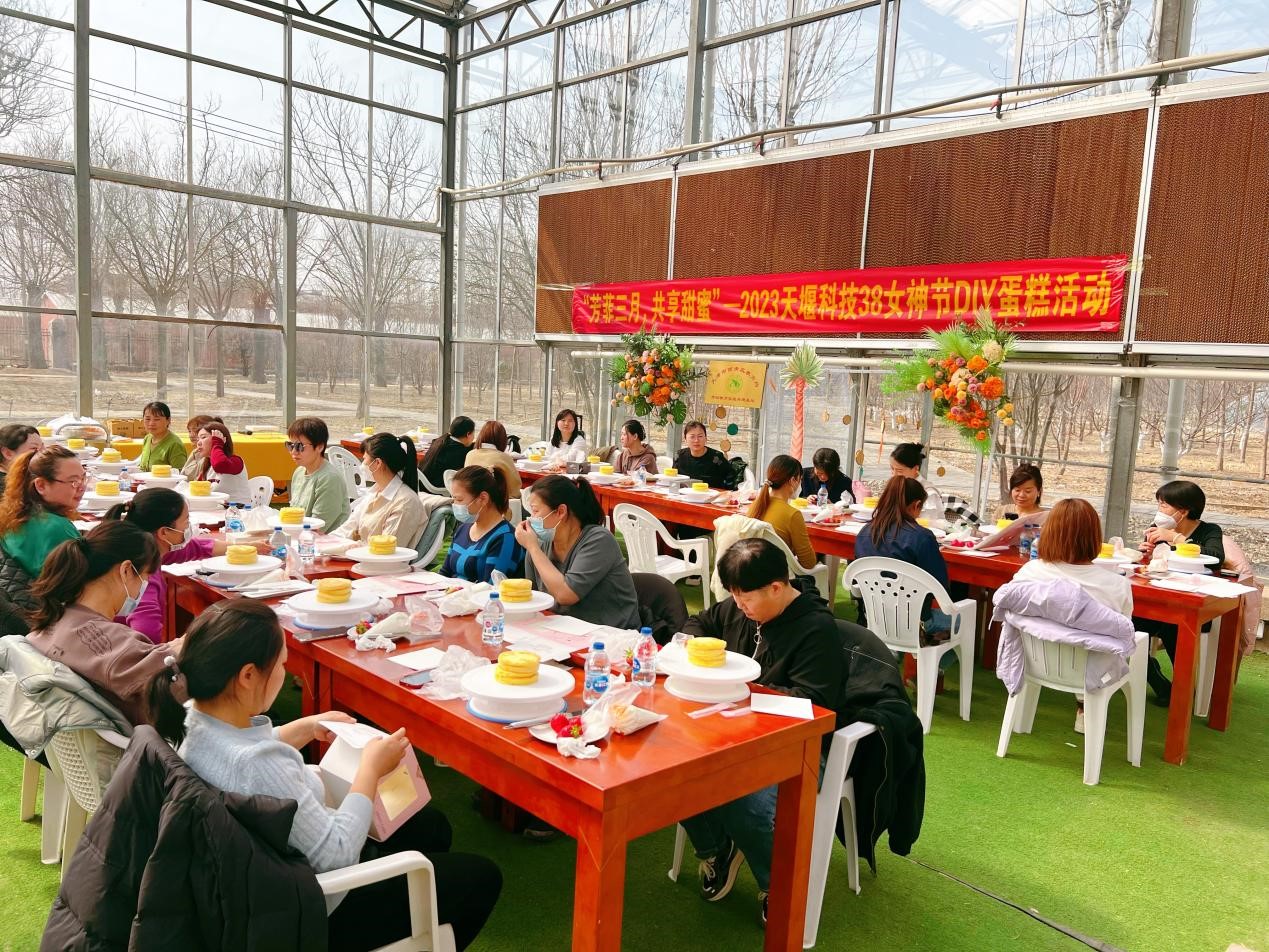 澳门铁盘算盘
